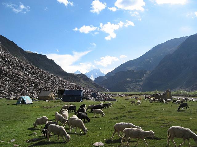 IMG_0214.JPG - 26-06-2006

Onze kampeerplek tussen de schapen en geiten, op zo'n 4250m. Die geiten zijn de leverancier van het wol waarvan de beroemde Pashmina sjaals worden gemaakt.